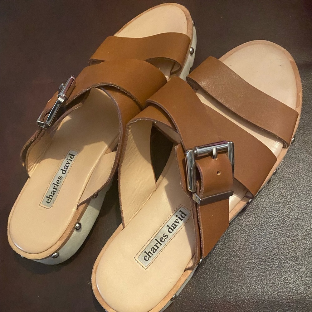 Charles David Sandals